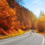 autumn highway